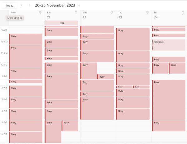24 - screenshot_of_busy_looking_shared_work_calendar.jpg
