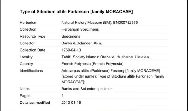 Figure 6 herbarium record