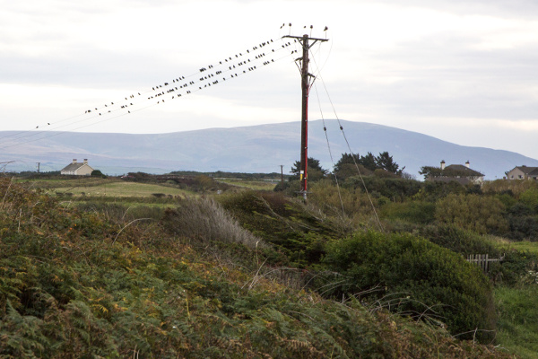 2 - 03_Looking_across_to_fells_web.jpg