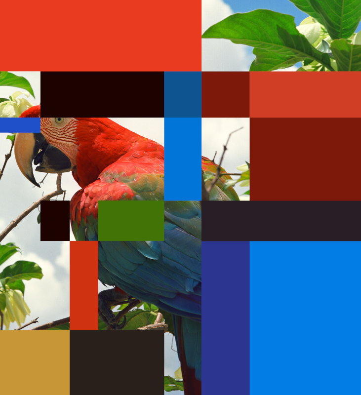 13 - Vega_Parrot_Colour_Chart.jpg